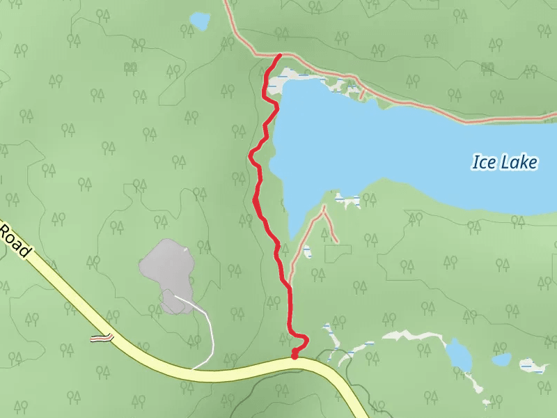 Ice Lake Trail