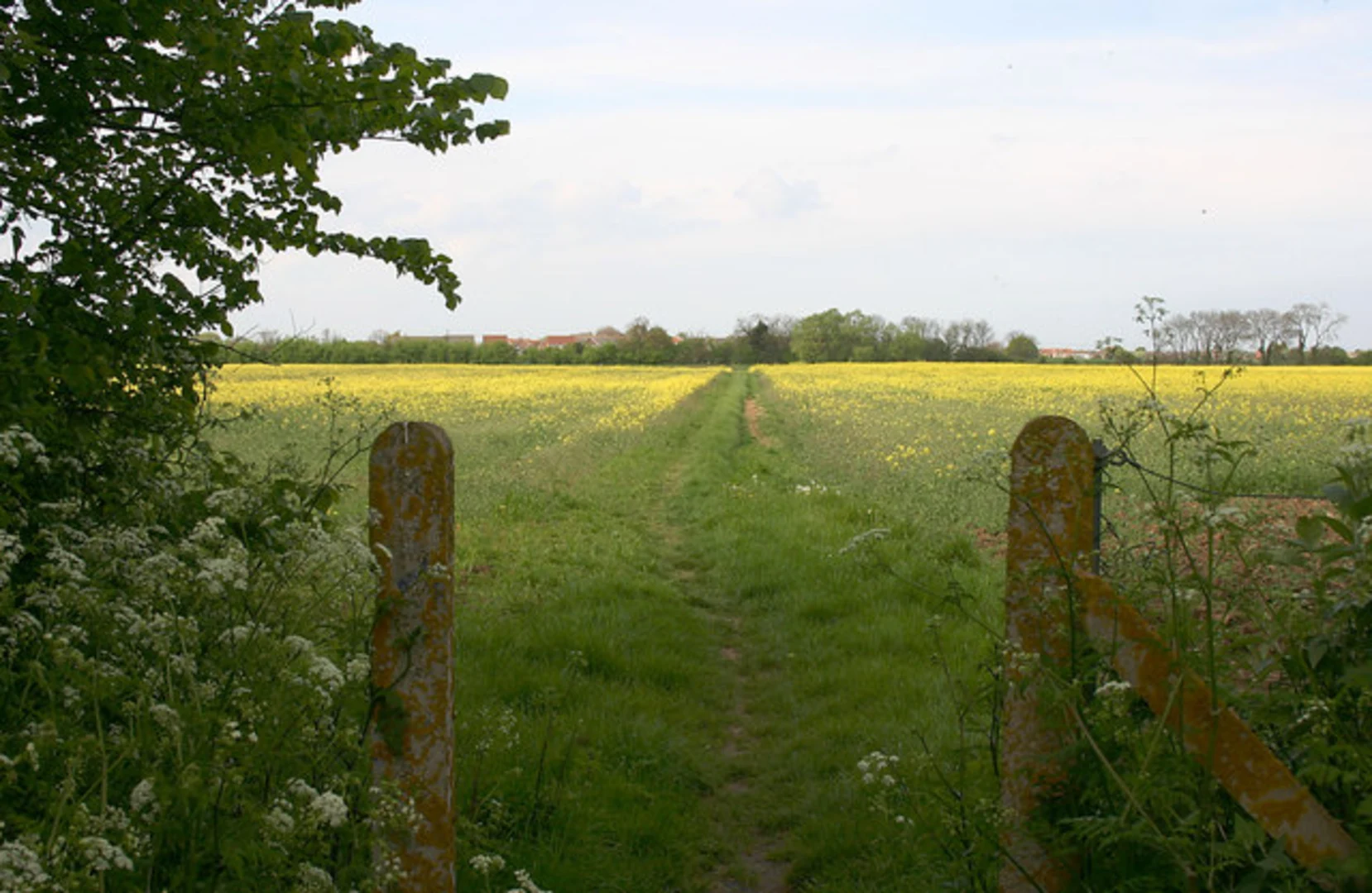 An image depicting the trail River Stour via Valley Walk and its surrounding area.