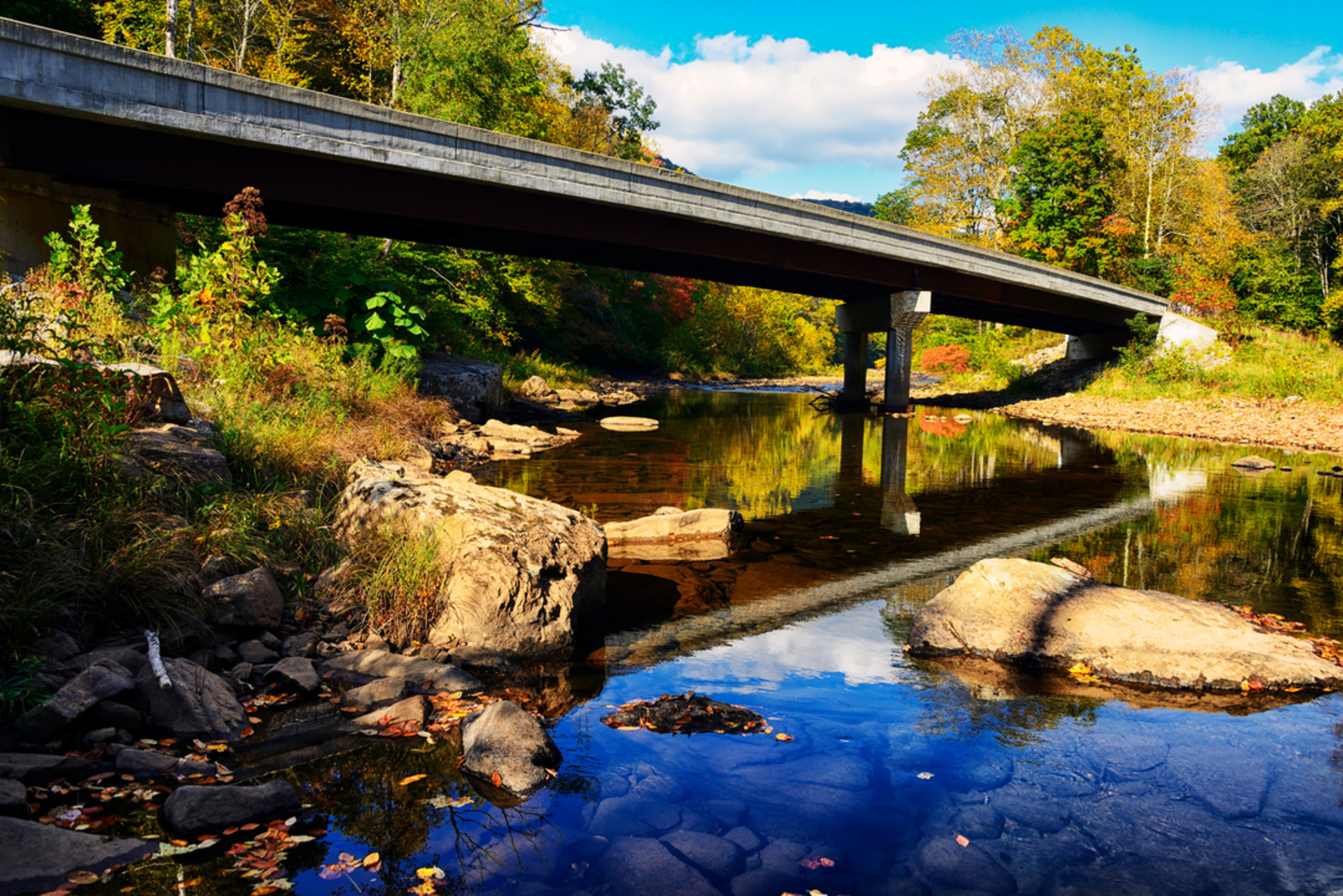 An image depicting the trail Little Fork Trail and its surrounding area.