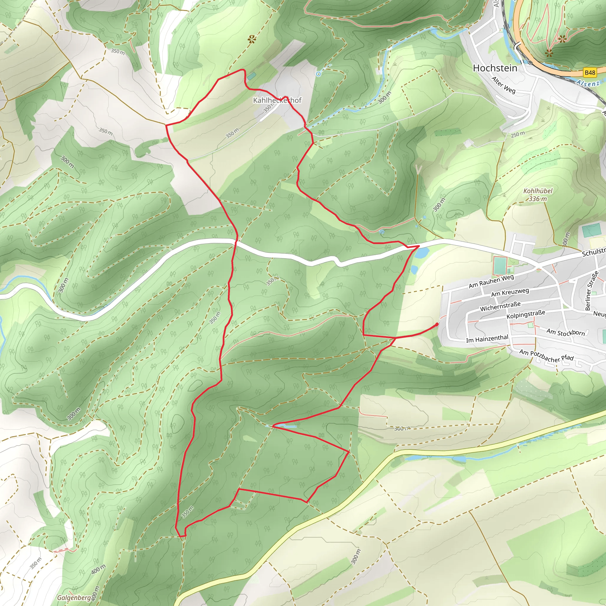 Igelborner Hoehe Loop via Pfaelzerwald Blauer Punkt mobile static map
