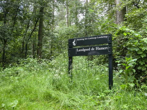 Wellerlooi to Arcen via Westmeervan, Dikkenberg Weg and Pikmeeuwen Water