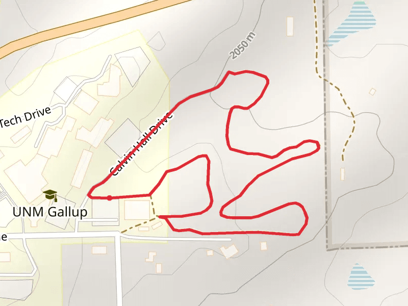 Calvin Hall Drive Loop