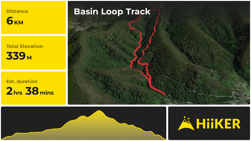 Basin Loop Track | Gloucester | New South Wales