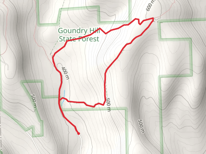 Corbett Hollow Road Loop
