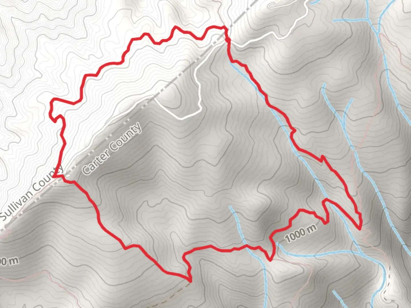 An image depicting the trail Holston Mountain West Trail, Rye Patch Trail and Low Gap Trail Loop and its surrounding area.