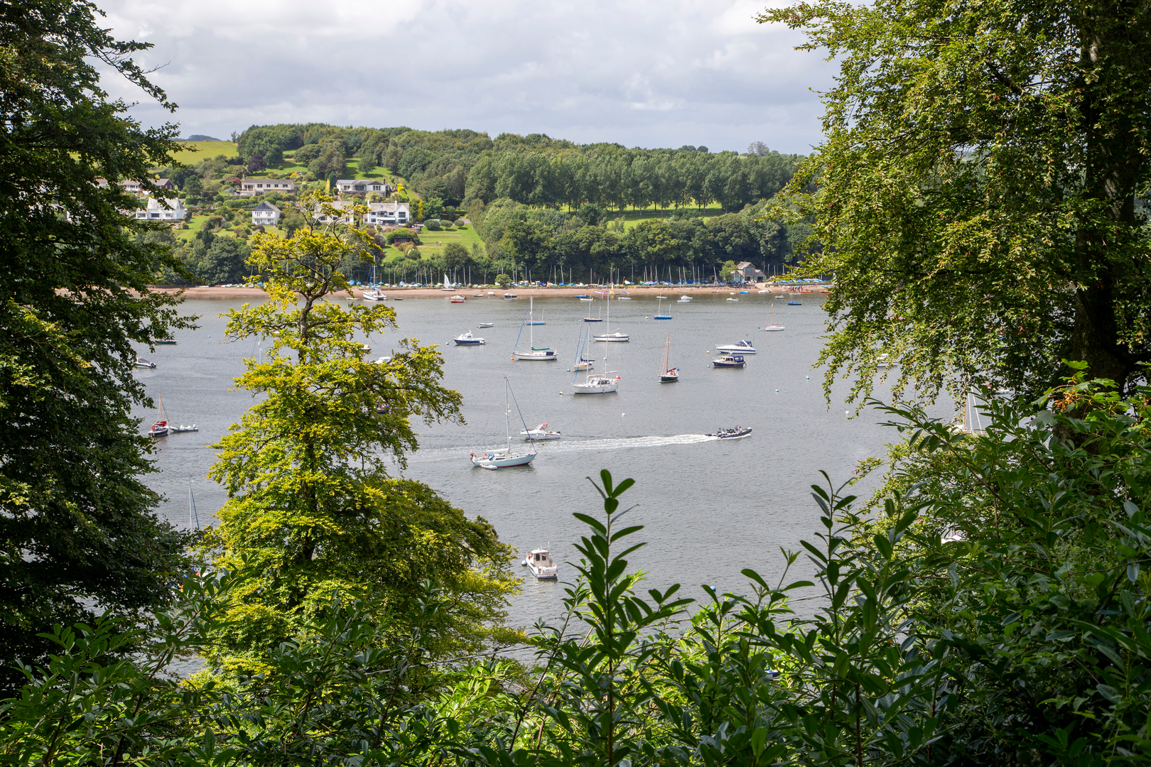 An image depicting the trail Dittisham Circular Walk and its surrounding area.