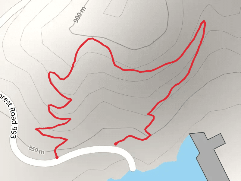 Kitchen Rock Trail