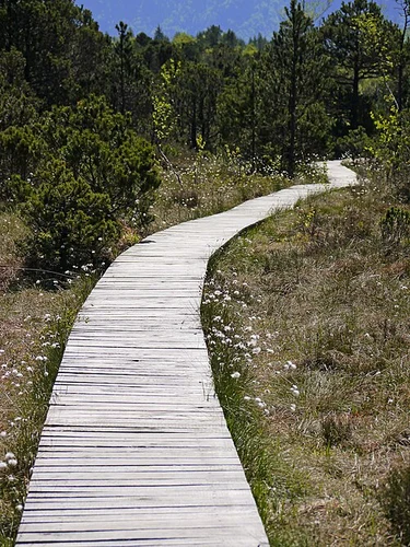 Bohlenweg and Im langen Filz Loop