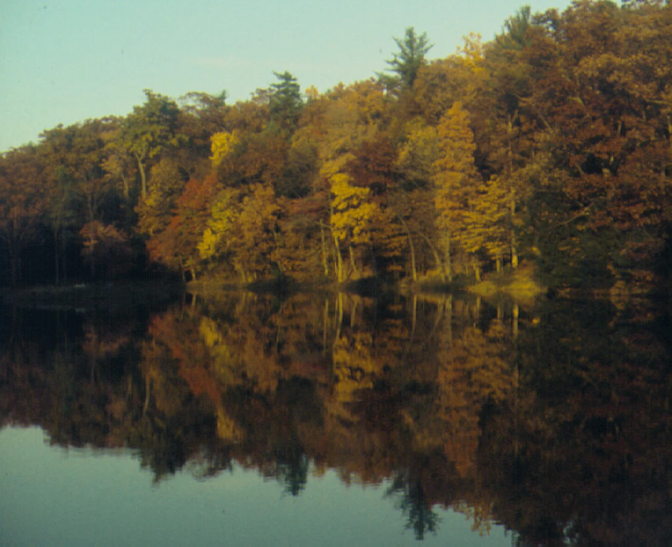 An image depicting the trail Doubling Gap Lake Loop and its surrounding area.
