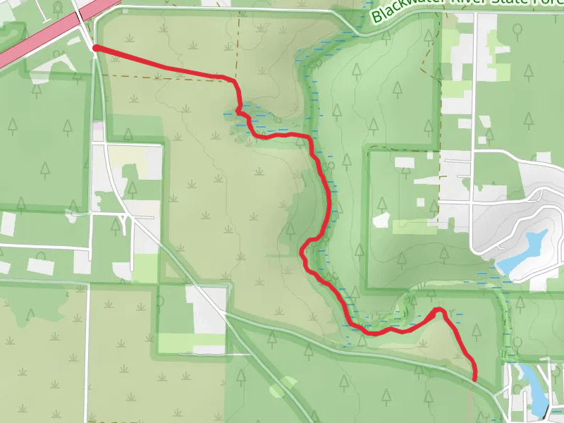 Burnt Grocery Creek - Florida Trail