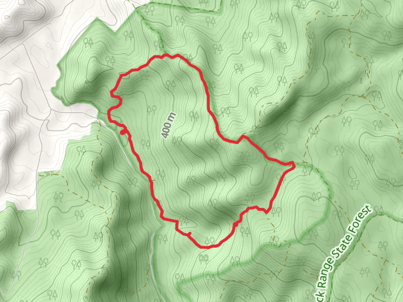 Mill Track Loop