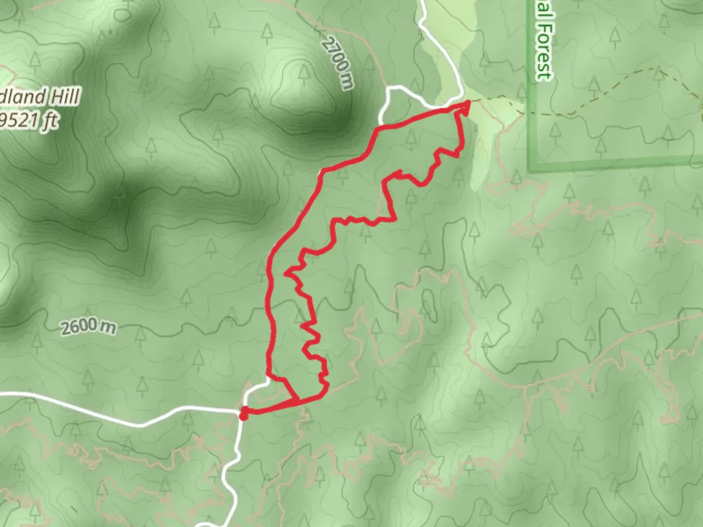 An image depicting the trail Sausage Link Loop and its surrounding area.