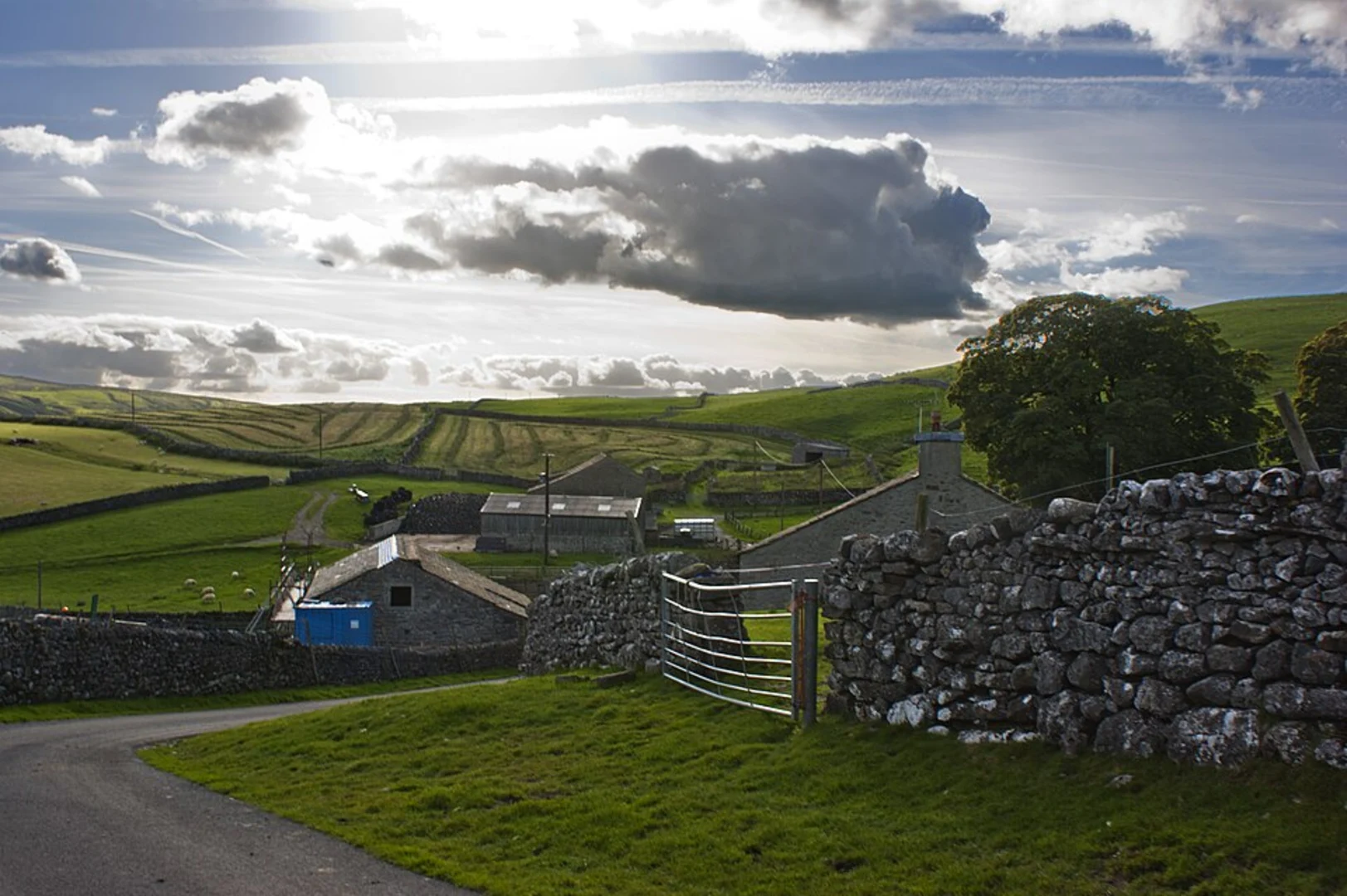 An image depicting the trail Bordley Loop and its surrounding area.