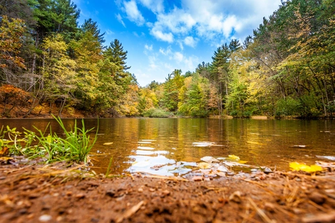 Natchaug Trail