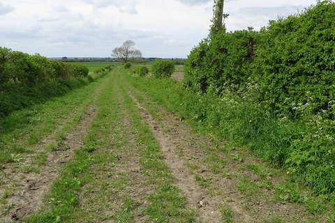Totternhoe Nature Reserve Loop