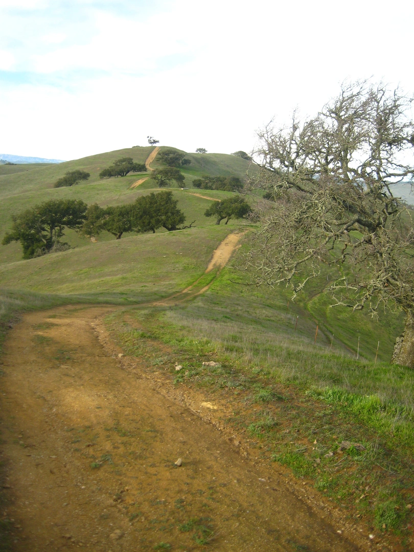 An image depicting the trail Dinosaur Lake and Spikes Peak Trail Loop and its surrounding area.