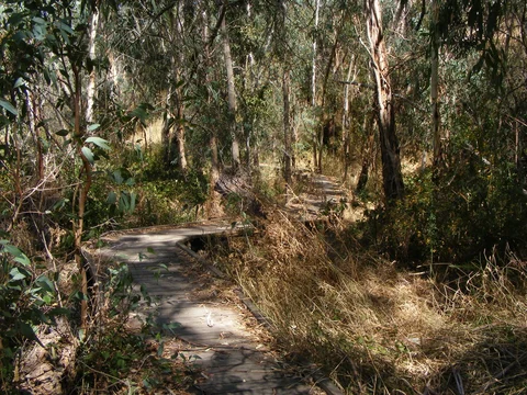 Loop around the Dam - Northern Park