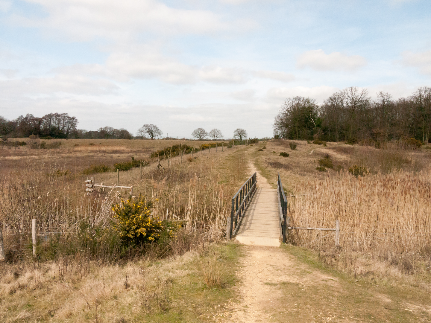 An image depicting the trail Essex Way and its surrounding area.