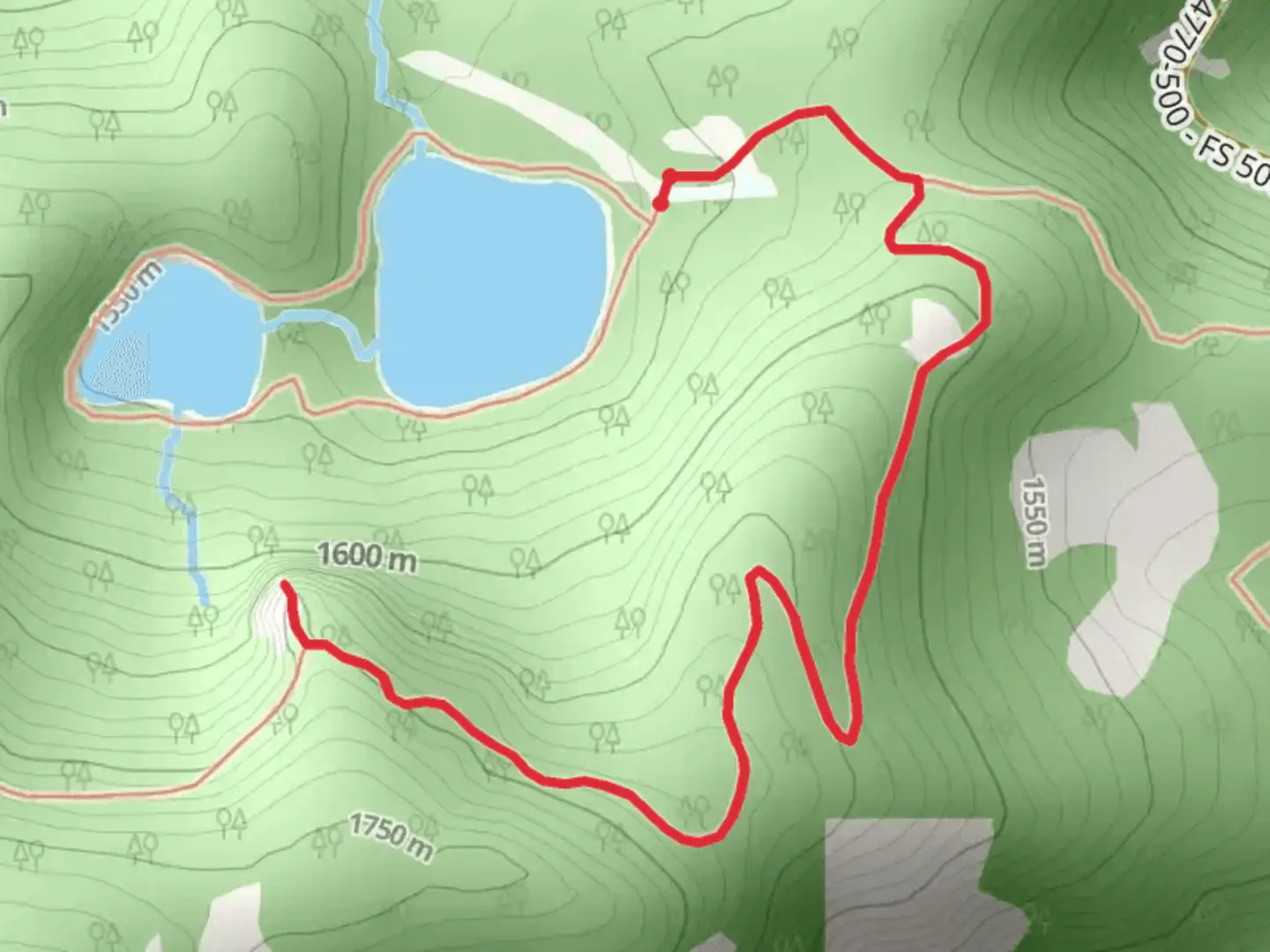 An image depicting the trail Twin Lake Walk and its surrounding area.
