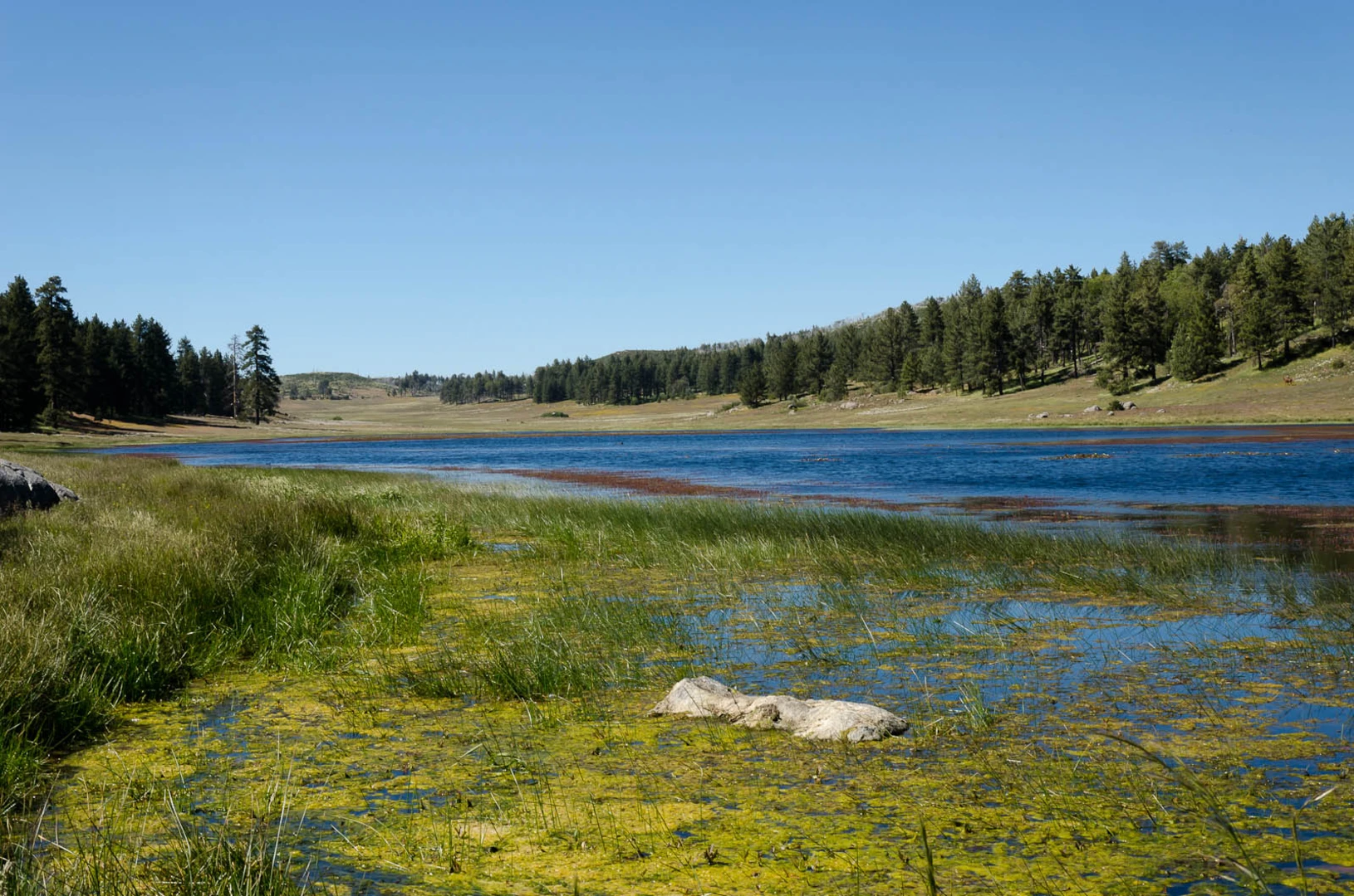 An image depicting the trail Water of the Woods and Big Laguna Lake Loop and its surrounding area.