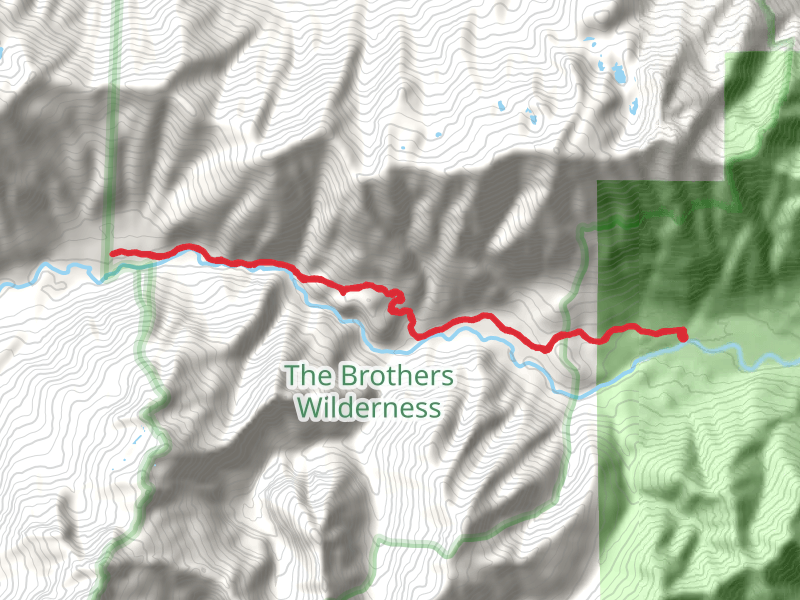 Duckabush Trail