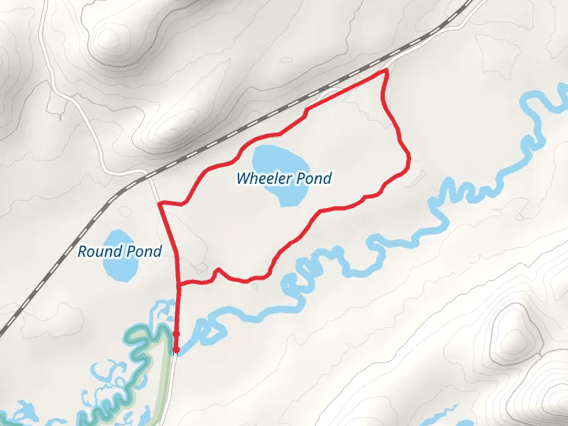 Wheeler Pond Loop Trail