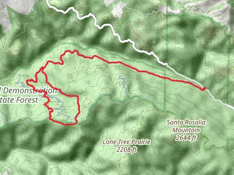 Hihn's Mill Road, Braille and Tractor Loop TRail