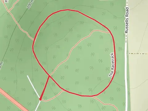 Racetrack Walk