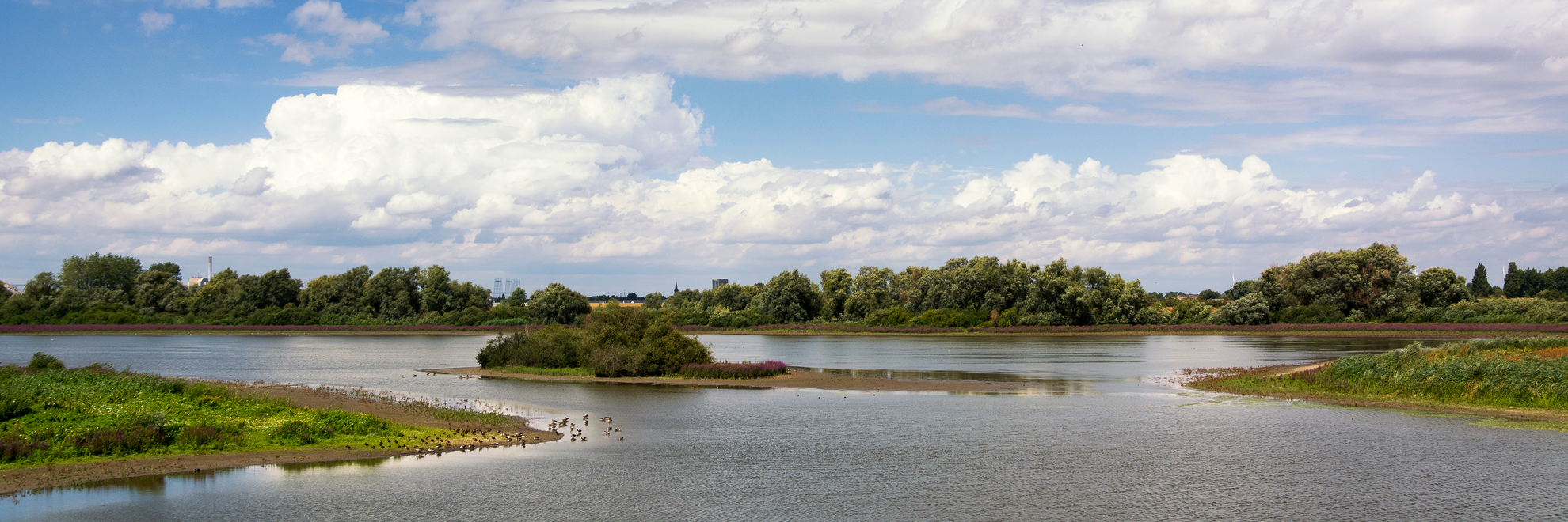 An image depicting the trail Streekpad Nijmegen and its surrounding area.