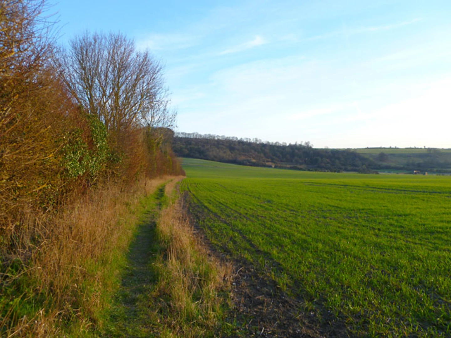 An image depicting the trail Winchester to Cheesefoot Head and its surrounding area.