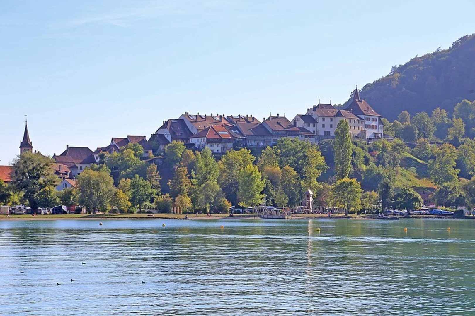 An image depicting the trail St Petersinsel-Weg and its surrounding area.