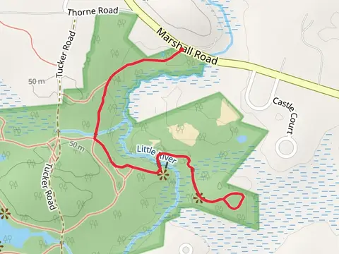 Patten Island Loop and French South Trail