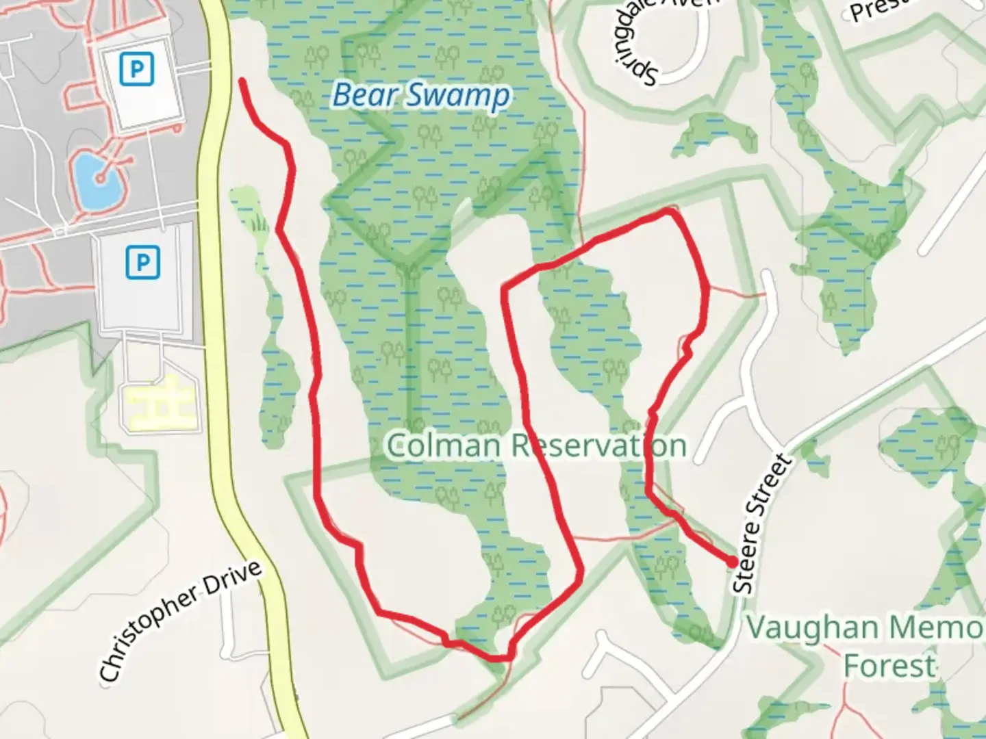 An image depicting the trail Steere Street and its surrounding area.