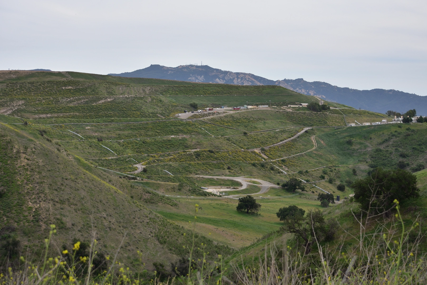 An image depicting the trail Cheeseboro Canyon Trail and Morrison Ranch Trail and its surrounding area.