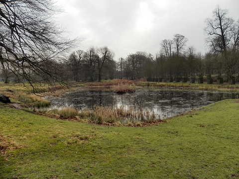 Dunham Massey Park Loop