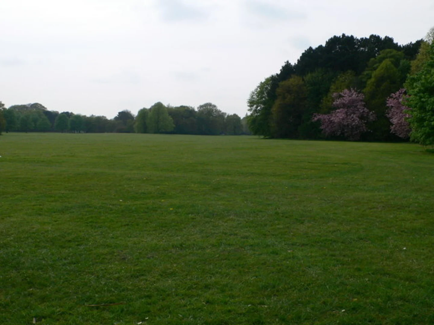 An image depicting the trail Wythenshawe Park Loop and its surrounding area.