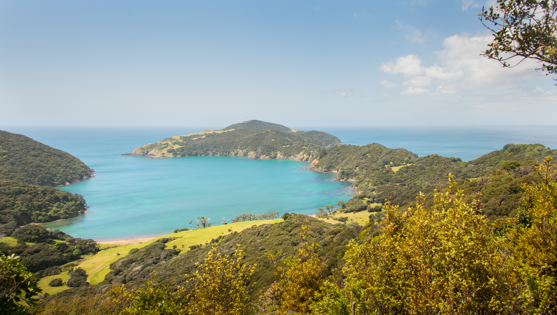 An image depicting the trail Whangamumu Track and its surrounding area.