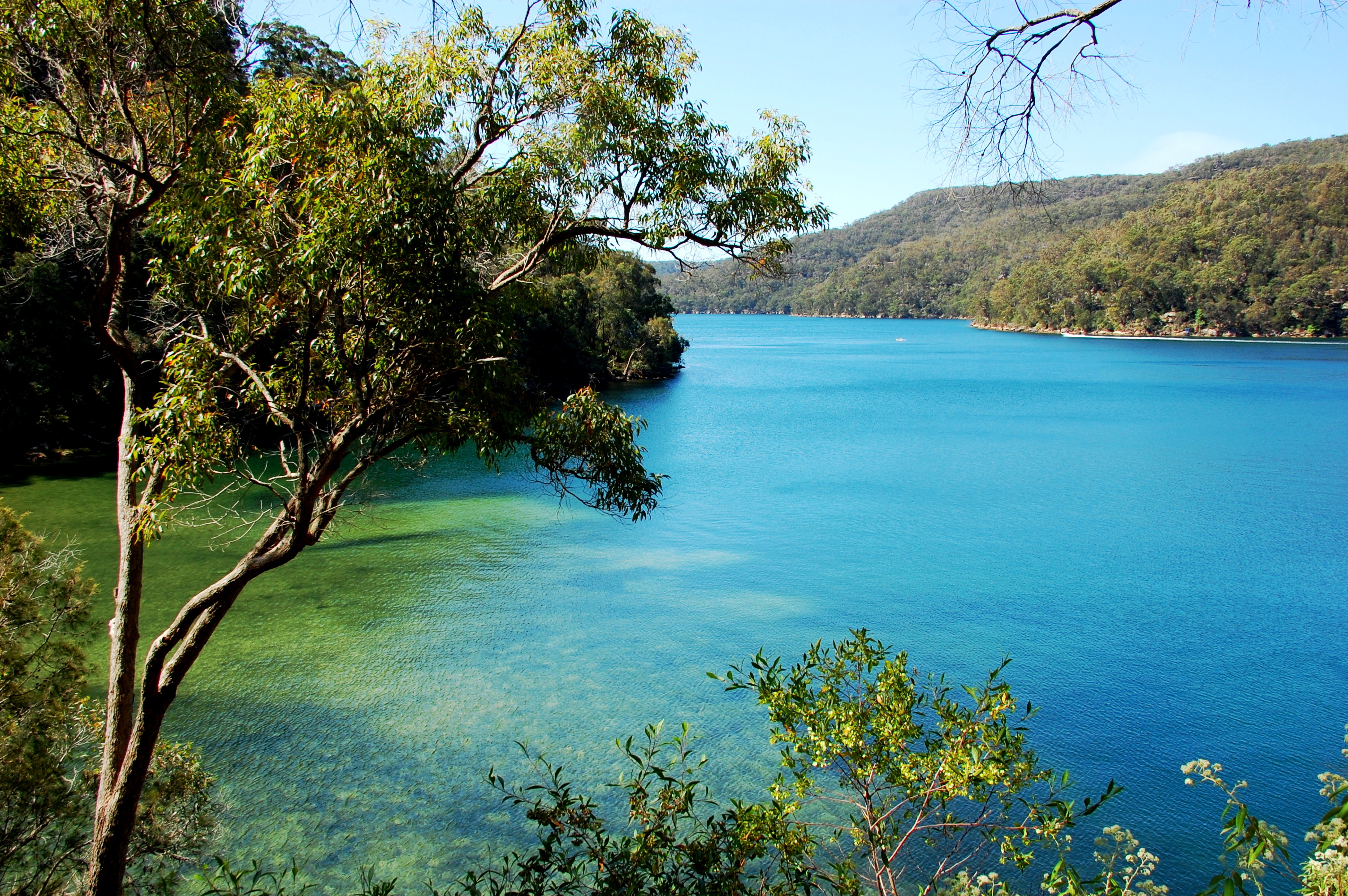 An image depicting the trail Ku-ring-gai Chase National Park and its surrounding area.