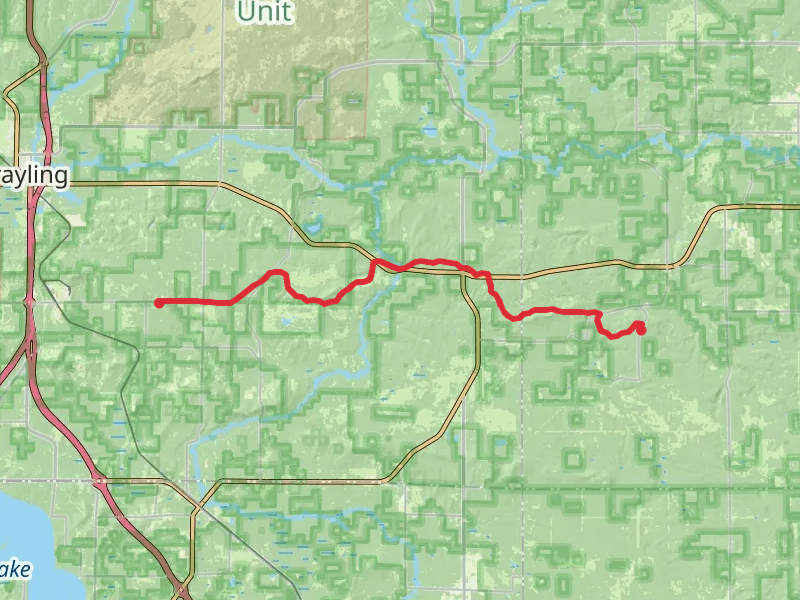 Midland to Mackinaw Trail - Hurton National Forest