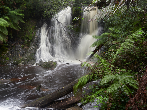 Hogarth Falls Track