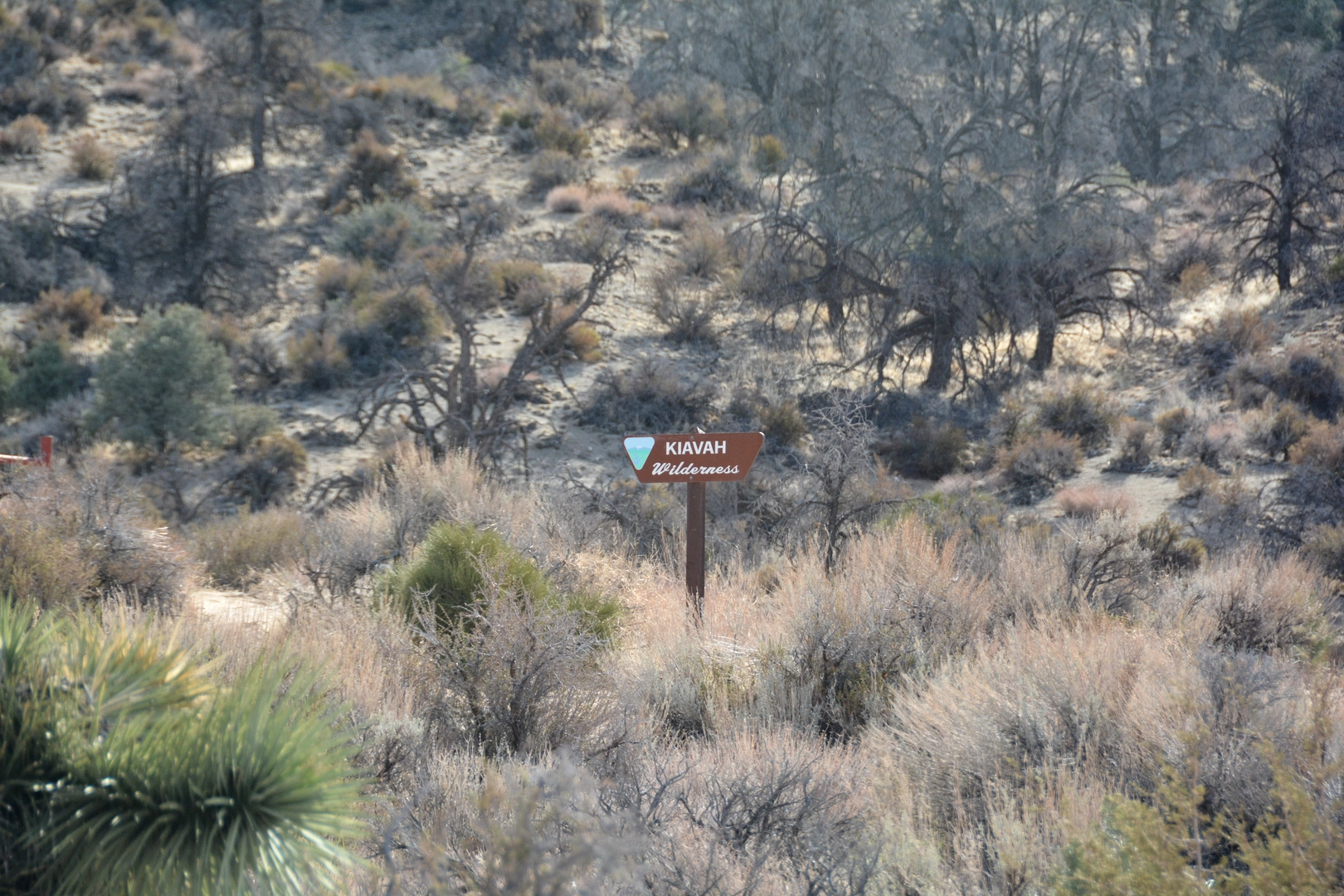 An image depicting the trail Pacific Crest Trail from Walker Pass Campground and its surrounding area.