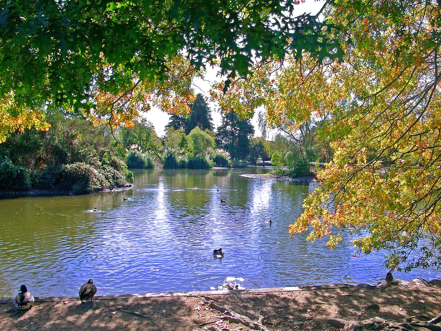 An image depicting the trail Masterton Riverbank Walkway and its surrounding area.