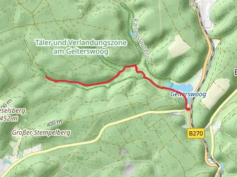 Täler und Verlandungszone am Gelterswoog