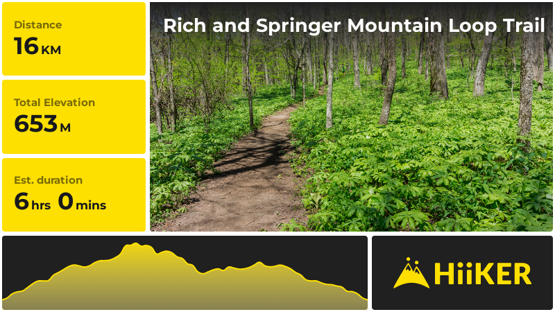 Rich and Springer Mountain Loop Trail | Fannin County | Georgia