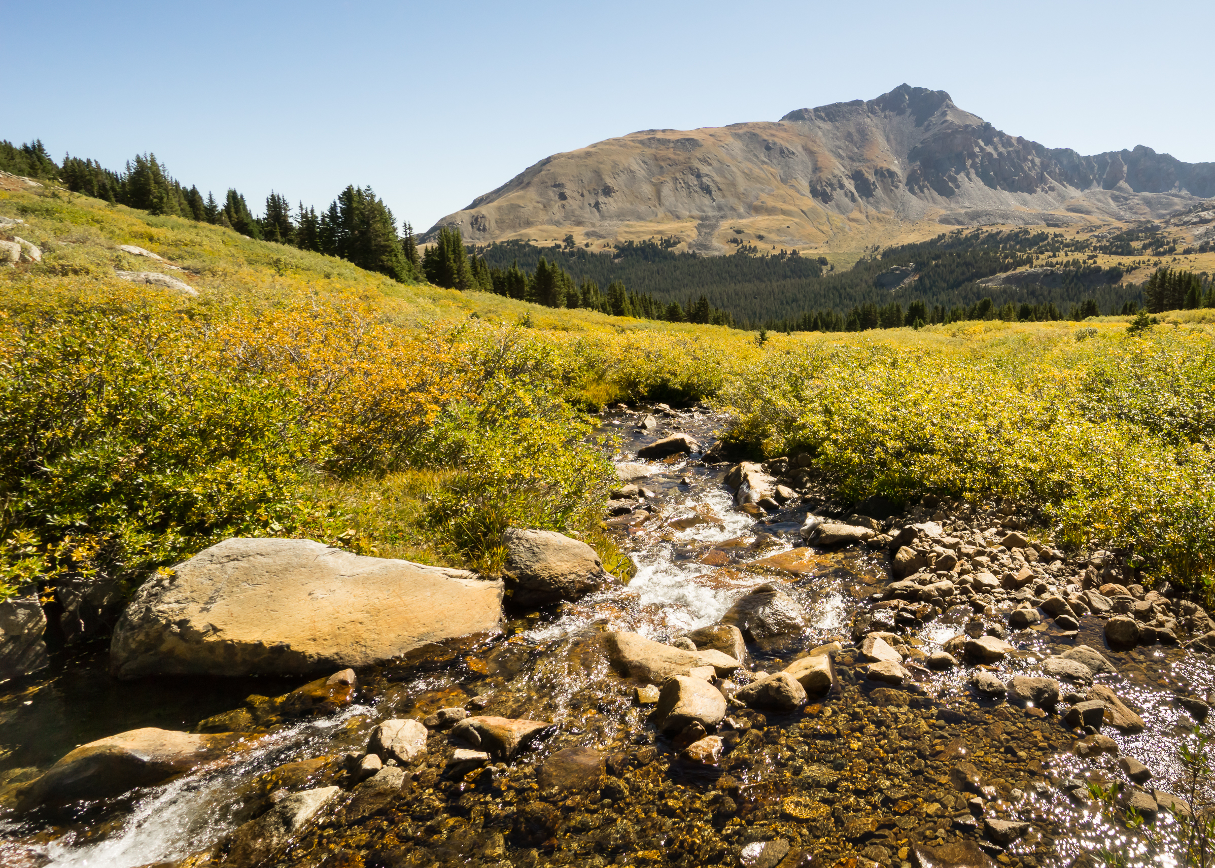 An image depicting the trail Pike and San Isabel National Forests and its surrounding area.
