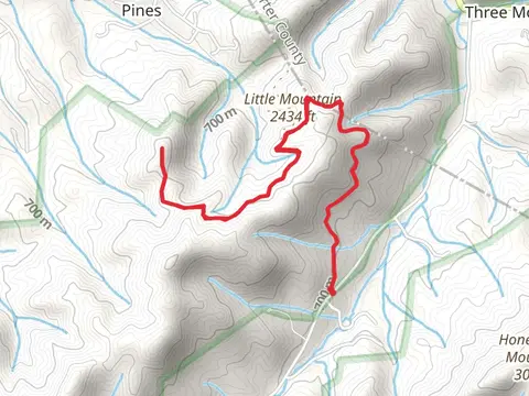 Powder Branch