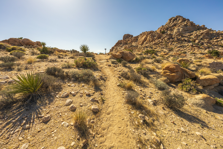 North Side Trail and North Canyon Loop Trail