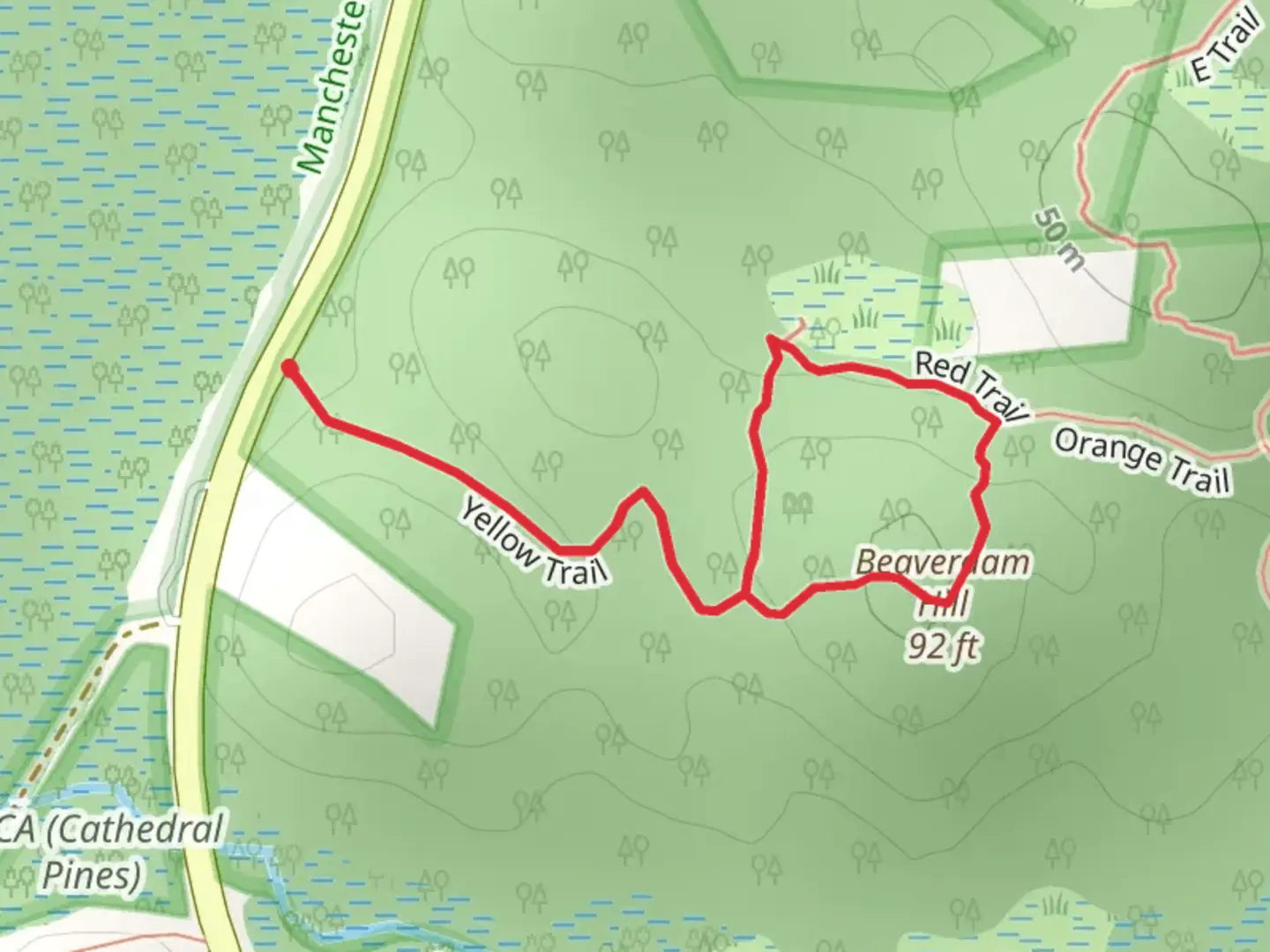 An image depicting the trail Beaverdam Hill Loop via Red Trail and Yellow Trail and its surrounding area.