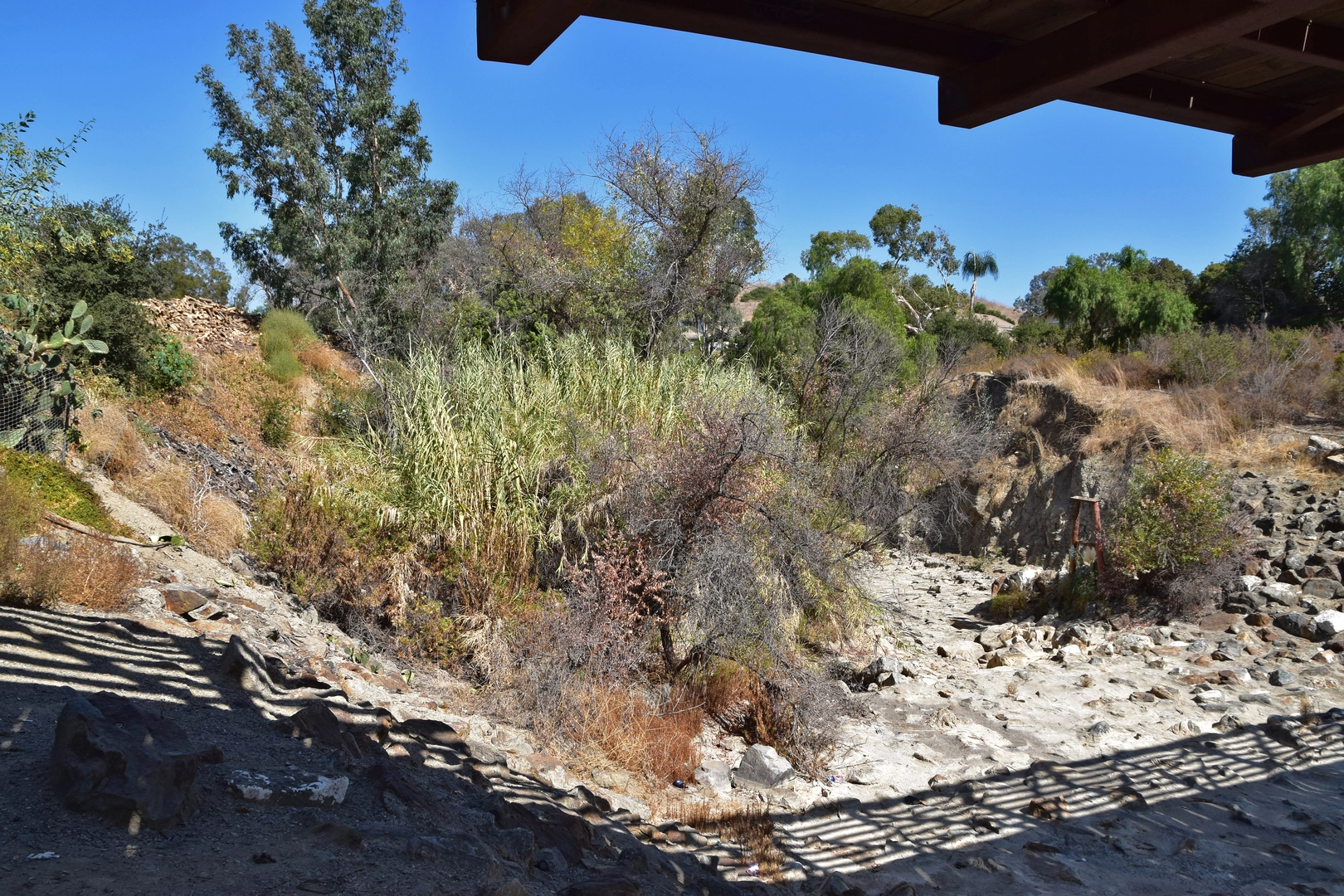 An image depicting the trail Trabuco Creek Trail - Camino Capistrano and its surrounding area.