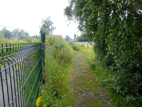 Newburn to Wylam Loop Walk